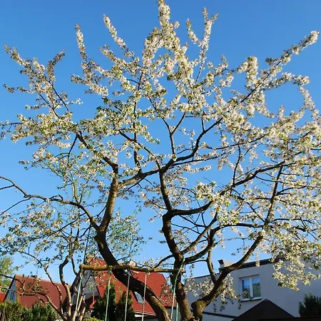 Hydrozagadka Kołobrzeg