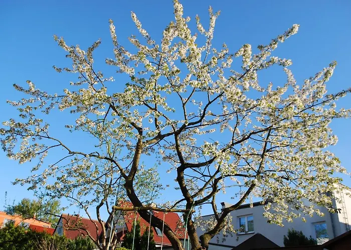 Hydrozagadka Kolberg